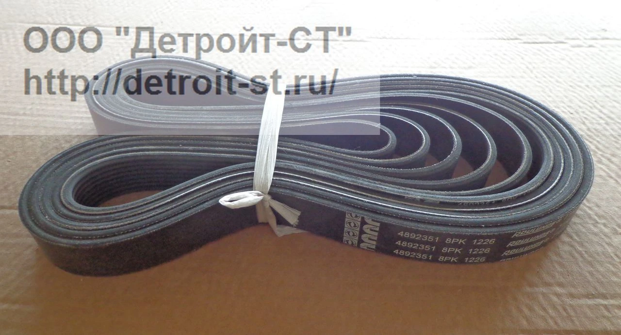 Ремень водяного насоса Cummins ISBe-4,5 (номера по замене: 4990977, 4892351) фото запчасти