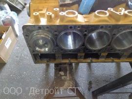 Cat C13_14