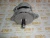 Генератор 12V, 100A Cummins 6ISBe 2874862 (TT11940, 8076N, 88-02508-SX, 10459205, TT11554, 5282836, 4936876, 3935527, 3918558) фото запчасти