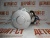 Стартер на Cummins 4BT 3.9 24 Volt 3604677 (TT16260, 6582N, 3604677RX, 3675204RX, 367520RX, 3904057, 3909914, 3918377, 3918378, 3926932, 3926932R, 3926932RX, C3918377, C4935789) – Запчасти Cummins фото (Стартеры и генераторы) Стартер на Cummins 4BT 3.9 24 Volt 3604677 (TT16260, 6582N, 3604677RX, 3675204RX, 367520RX, 3904057, 3909914, 3918377, 3918378, 3926932, 3926932R, 3926932RX, C3918377, C4935789) фото запчасти
