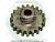 Gear, F/P Driven 5172916 фото запчасти