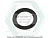Gasket, Gov. Weight Hsg. Cap 5165221 фото запчасти