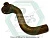 Tube Asm 5115079 фото запчасти