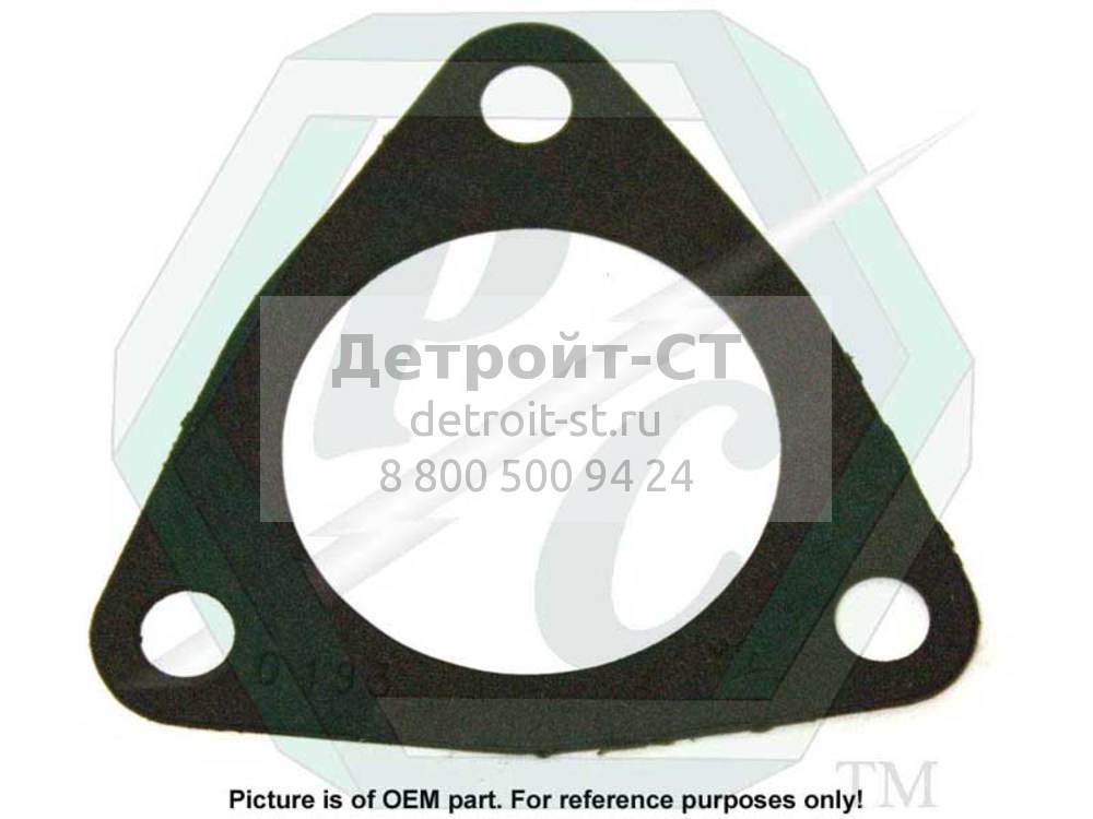 Gasket, F.W.P. 5150193 фото запчасти