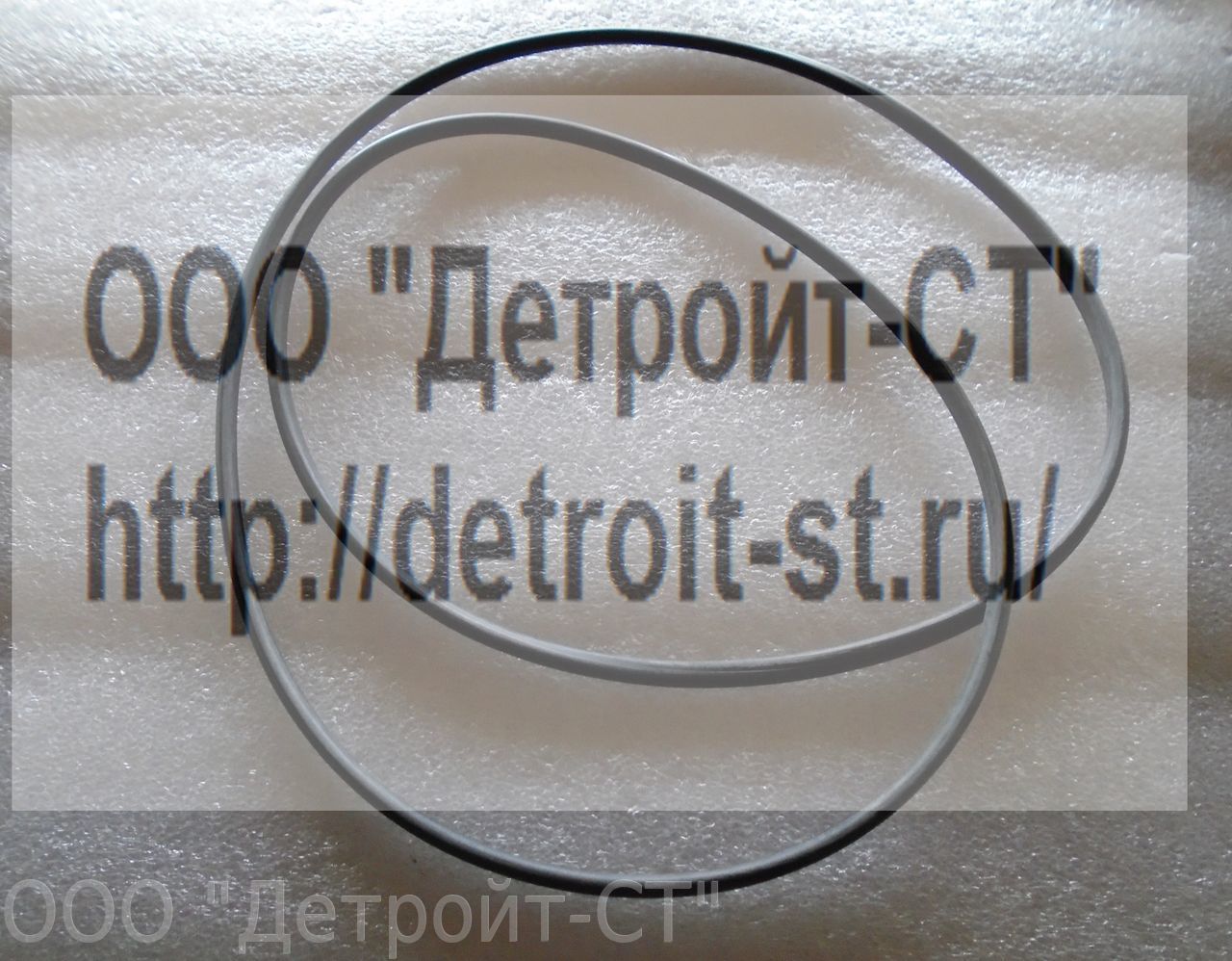 Прокладка клапанной крышки Cummins B 3.3 4982184 (6204118810) фото запчасти