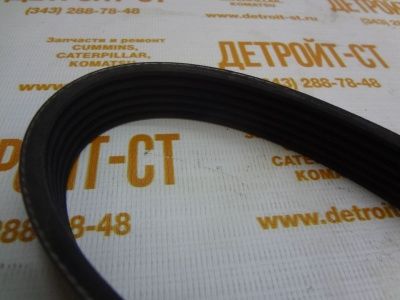 Ремень Cummins 217638 (3019406) фото запчасти