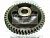 Gear, F.W.P. Drive 5146254 фото запчасти