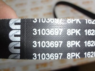Ремень Cummins 3103697 (8PK1628) фото запчасти
