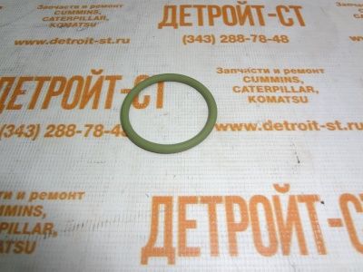 Уплотнительное кольцо крупного сечения Deutz 01319139 (169570, 227-388-664-9) фото запчасти
