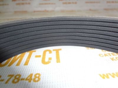 Ремень Cummins 2831487 (4892361, 4898546, 8PK1230) фото запчасти