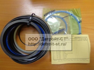 Ремкомплект Hyundai 31Y1-30111 фото запчасти