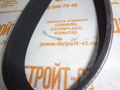 Ремень Cummins 3289001 (3911566, 8PK1613) фото запчасти