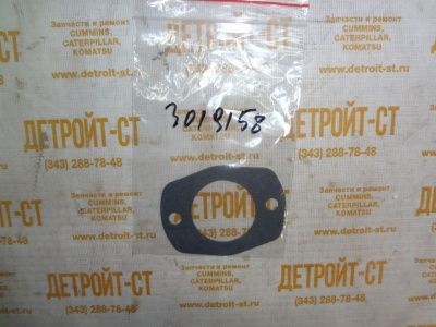 Прокладка Cummins 3019158 фото запчасти