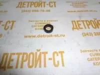 Кольцо Cummins M11 3883510 фото запчасти