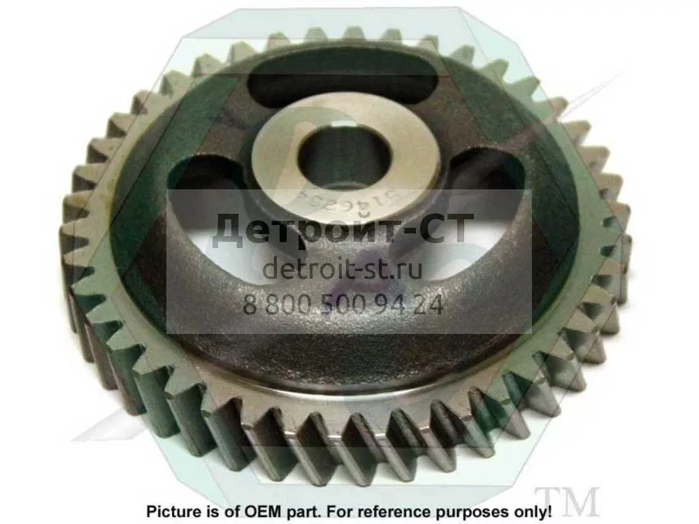 Gear, F.W.P. Drive 5146254 фото запчасти