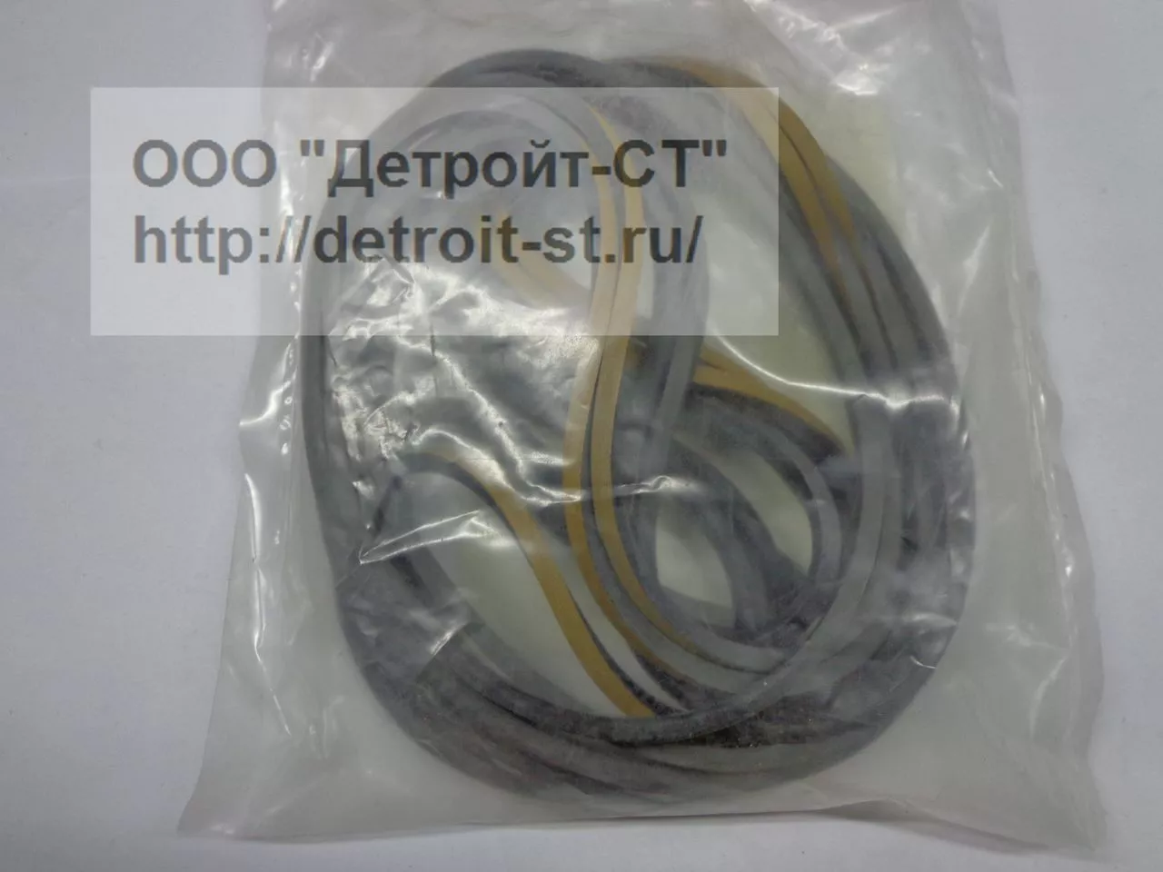 Уплотнение Detroit Diesel 5141245 фото запчасти