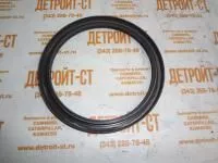 Сальник коленчатого вала задний 0509-0494 (5090494, AX1004606) фото запчасти