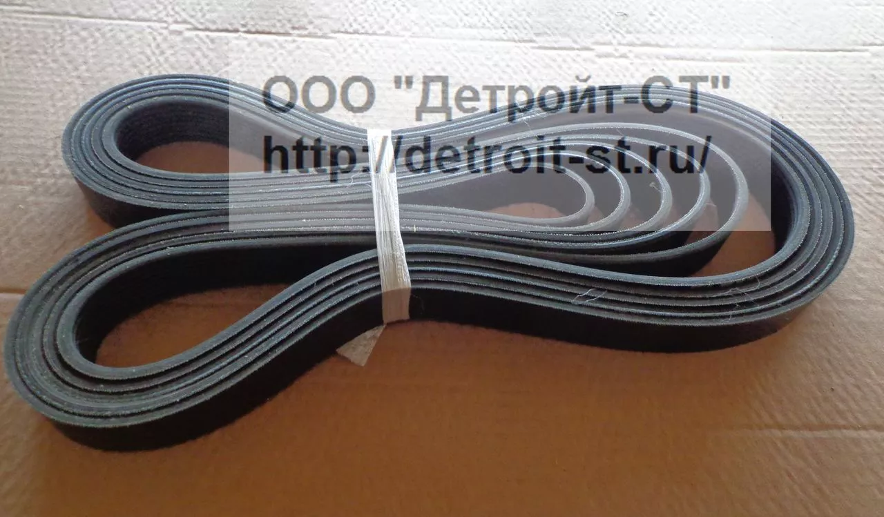 Ремень Cummins 3288911 (3919940) фото запчасти