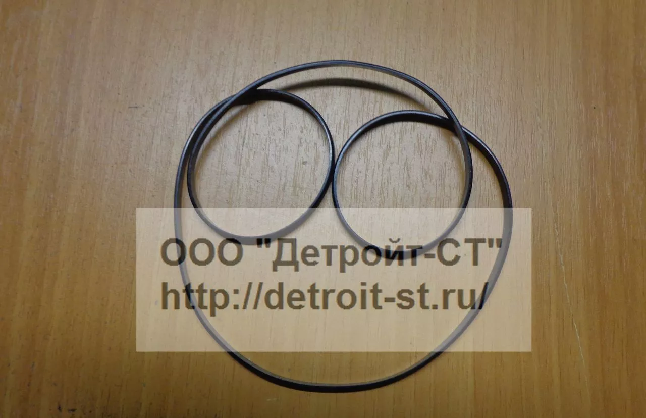 Кольцо уплотнительное гильзы (под фланец) Cummins K19 4000504 фото запчасти