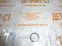 О-кольцо 26460064 (10000-00097) фото запчасти